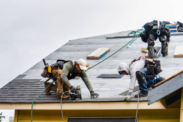 Professional Gutter Installation technician working in New Bedford, IL